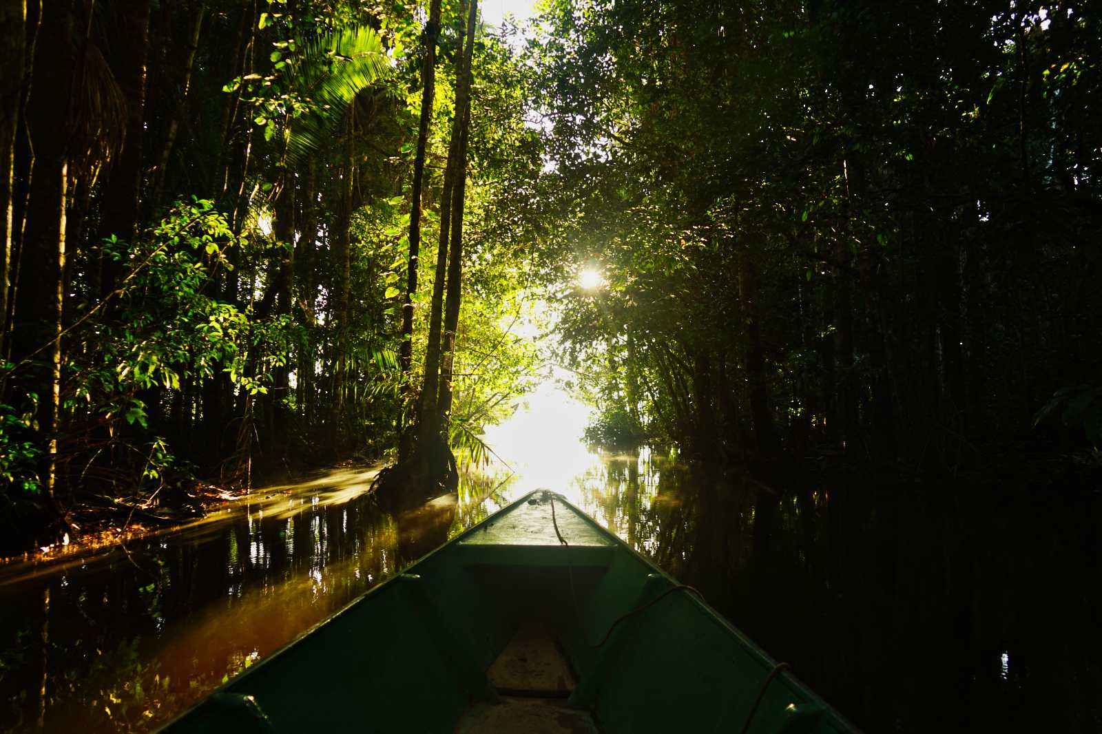 Ein Boot fährt zwischen den Bäumen am Lake Sandoval im Tambopata Nationalpark in Peru über das Wasser im Regenwald bei Sonnenaufgang